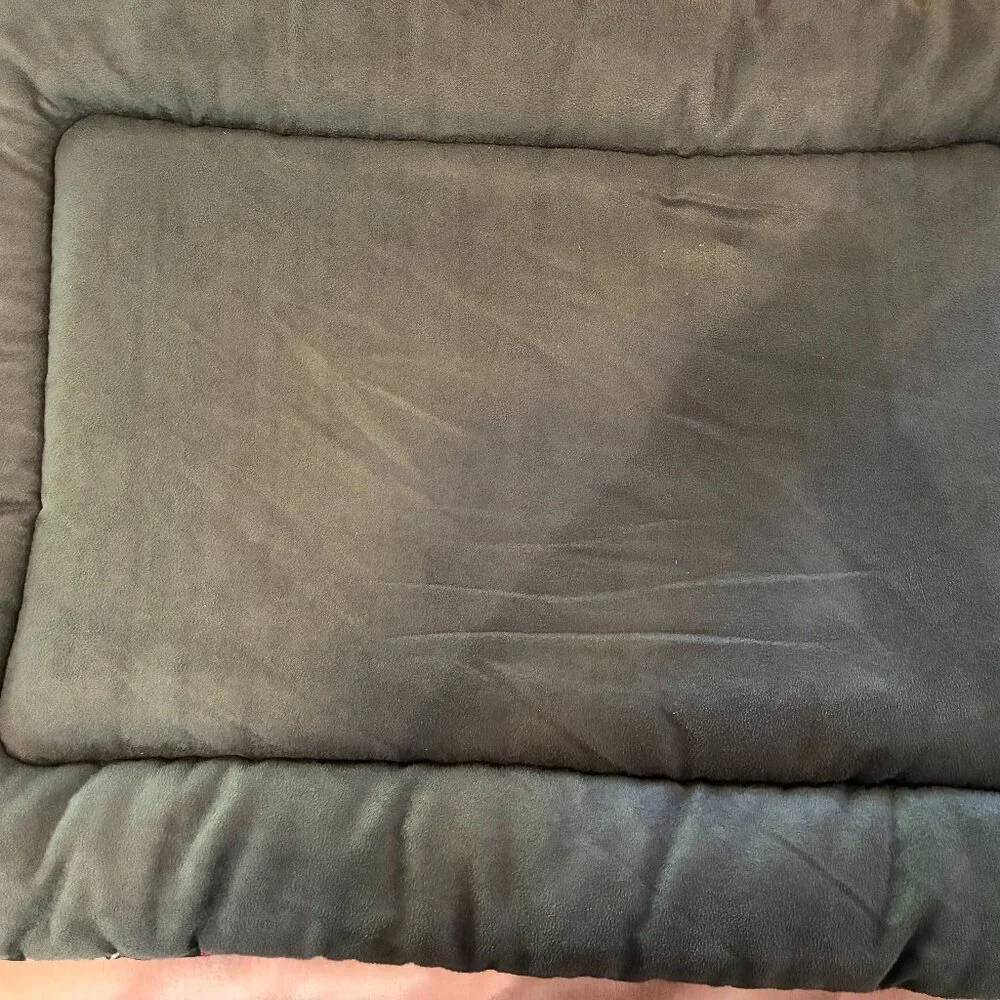Pet Play Dog Bed (medium) and New Toy